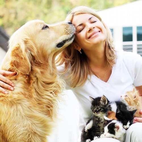 ασφάλεια υγείας σκύλου γάτας